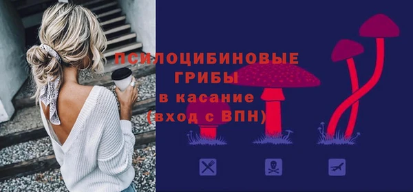 прущие крисы Бородино