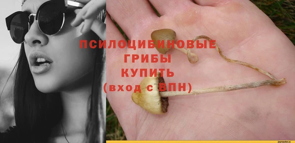 ПСИЛОЦИБИНОВЫЕ ГРИБЫ Бронницы