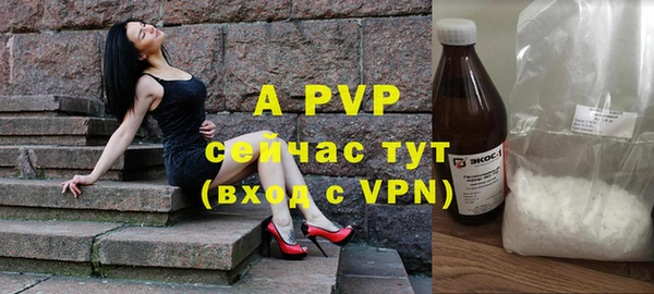 прущие крисы Бородино