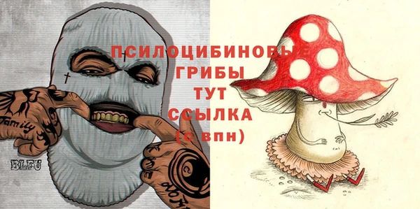 ECSTASY Бугульма