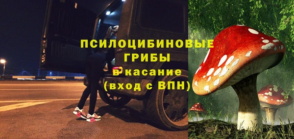 ECSTASY Бугульма