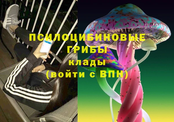 ПСИЛОЦИБИНОВЫЕ ГРИБЫ Бронницы