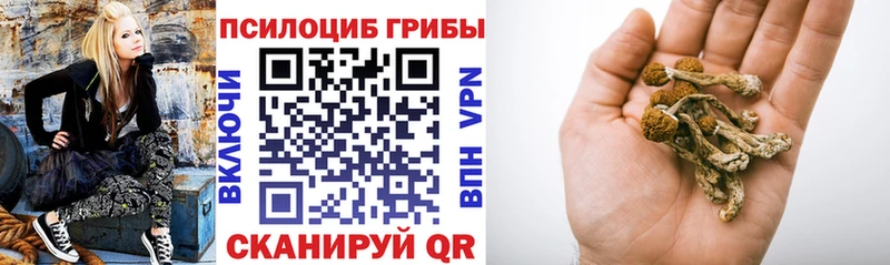 Купить закладки  Беслан  Галлюциногенные грибы мицелий 